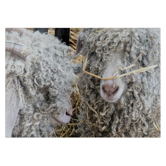 KUSTGOTEN SNIJPLANK (Voorkant)