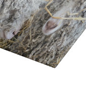 KUSTGOTEN SNIJPLANK (Hoek)