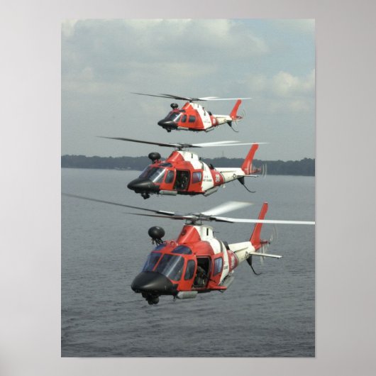 KustGuard MH-68 Mako-helikopters Poster (Voorkant)