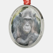 KUSTKIMPANZES METALEN ORNAMENT (Links)