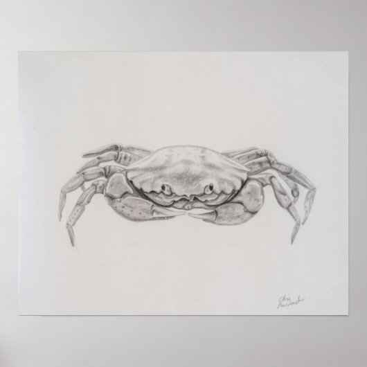 Kustkrab tekening poster (Voorkant)