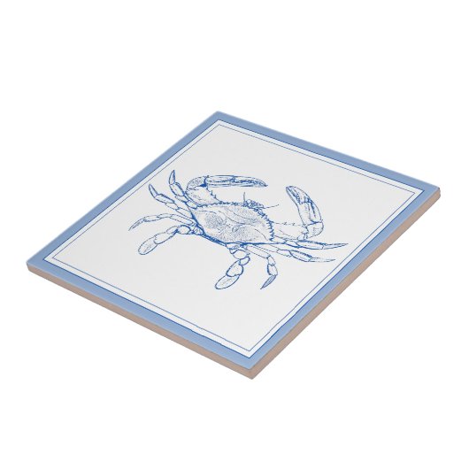 Kustkreeft, blauw en witte krab tegeltje (Zijkant)