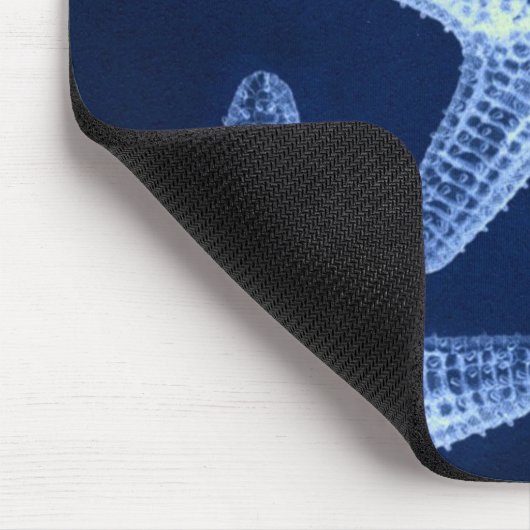 kustkreeft rustisch zeeblauwe zeester muismat (Hoek)