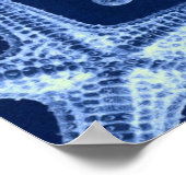 kustkreeft rustisch zeeblauwe zeester poster (Hoek)