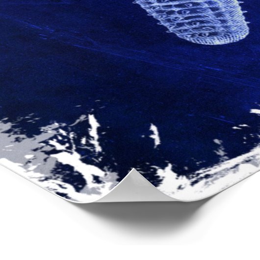 kustkreeft rustisch zeeblauwe zeester poster (Hoek)