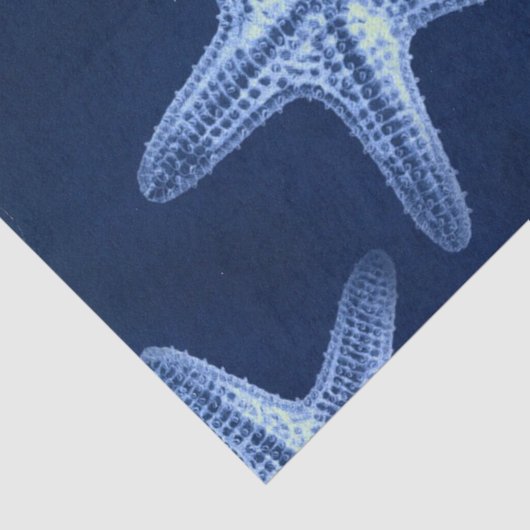 kustkreeft rustisch zeeblauwe zeester tissuepapier (Detail)