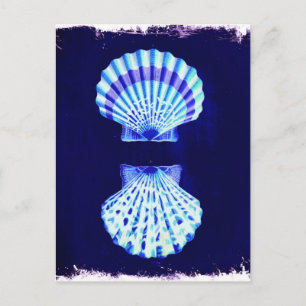 kustkust - tsjechië - kustkust - zee - zee - zeesc briefkaart