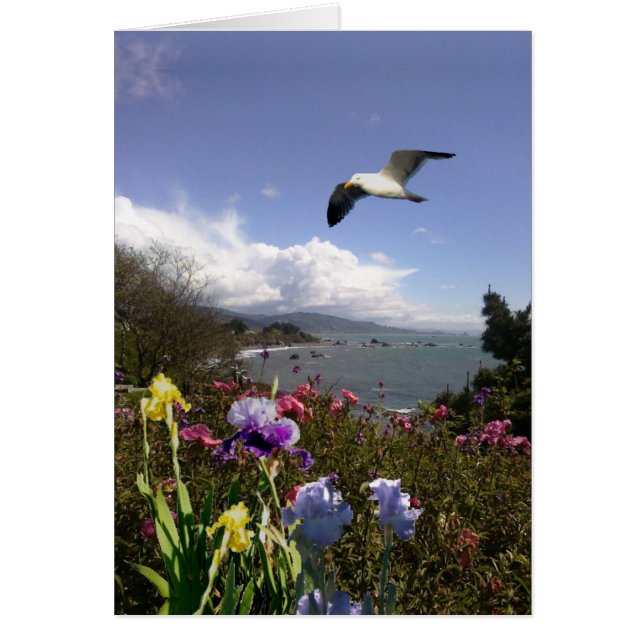 Kustleven (Voorkant)