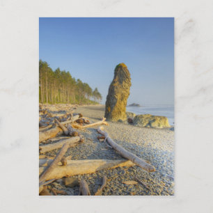 Kustlijn en zeestacks, Ruby Beach, Olympic Briefkaart