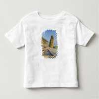 Kustlijn en zeestacks, Ruby Beach, Olympic