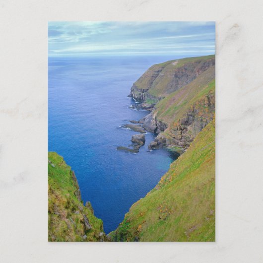 Kustlijn Newfoundland Briefkaart (Voorkant)