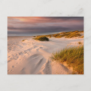 Kustlijn Saltum Beach, Denemarken Briefkaart