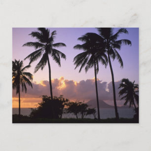 Kustlijn St. Kitts Briefkaart