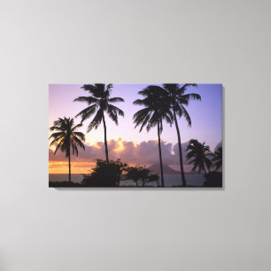 Kustlijn St. Kitts Canvas Afdruk