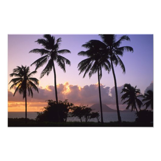 Kustlijn St. Kitts Foto Afdruk (Voorkant)