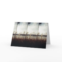 kustlijn van het najaar