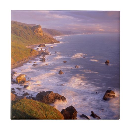 kustlijn van kustmammoetbomen, Californië Tegeltje (Voorkant)