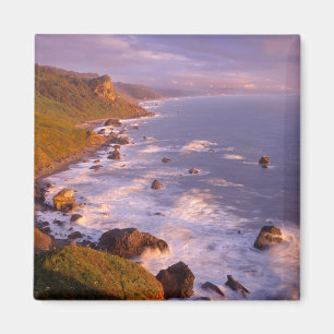 Kustlijn van Redwoods, Californië Magneet