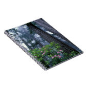 kustmammoetbomen en roodendrons notitieboek (Rechterzijde)
