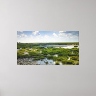 Kustmoeras met verre brug canvas afdruk