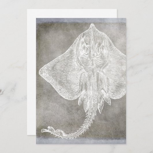 Kustneutraal Waterverf Schaats Sting Ray Pewter Ne Kaart (Voorkant / Achterkant)