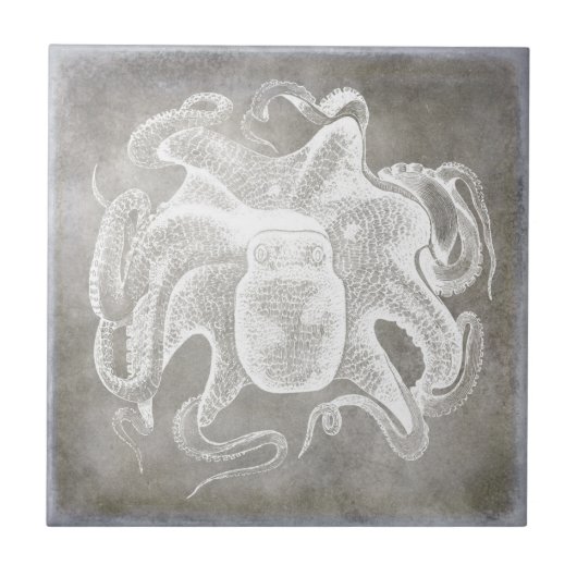 Kustneutrale Waterverf Octopus Silver Pewter Tegeltje (Voorkant)