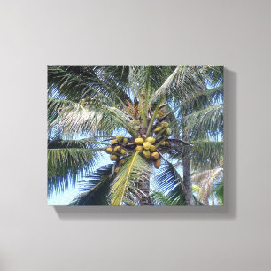 Kustpalm 8 x 10-inch canvas afdrukken