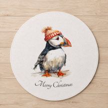 Kustpapegaaiduiker Kerst Welkom op het terras