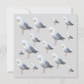 Kustpredikant Gull Grey Beach House Kaart (Achterkant)