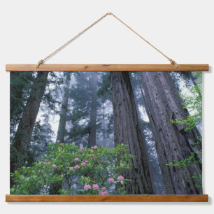 Kustredwoods en Rododendrons Hangend Wandkleed