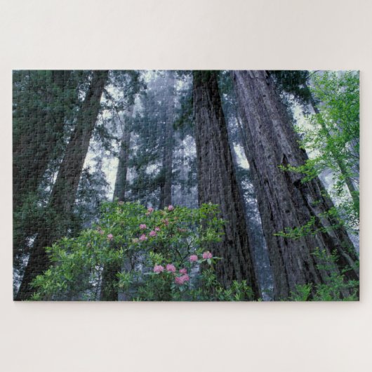 Kustredwoods en Rododendrons Legpuzzel (Horizontaal)