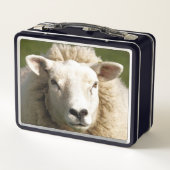 KUSTSCHAPEN (Achterkant)