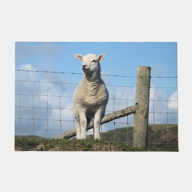 KUSTSCHAPEN DEURMAT (Voorkant)