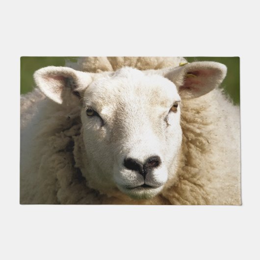 KUSTSCHAPEN DEURMAT (Voorkant)