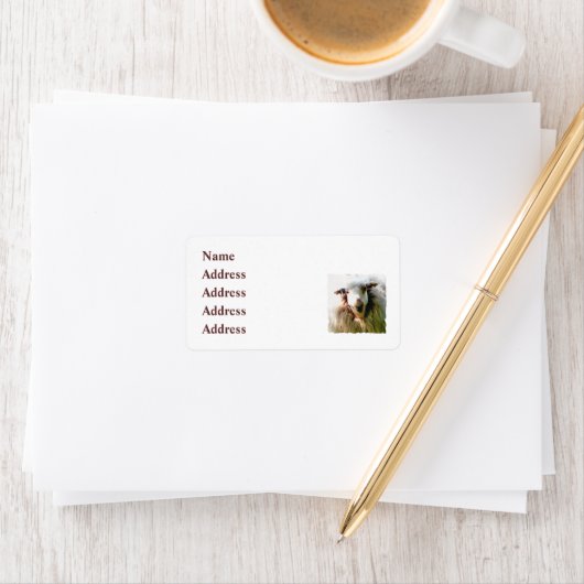 KUSTSCHAPEN ETIKET (Insitu)