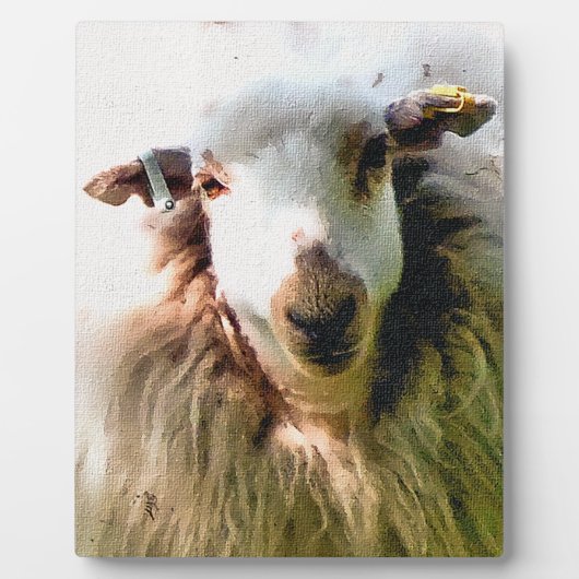 KUSTSCHAPEN FOTOPLAAT (Voorkant)