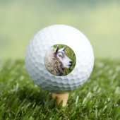 KUSTSCHAPEN GOLFBALLEN (Insitu Shirt)