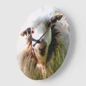 KUSTSCHAPEN GROTE KLOK (Hoek)