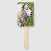 KUSTSCHAPEN HANDWAAIER (Voorkant)