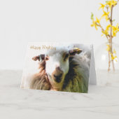 KUSTSCHAPEN KAART (Gele Bloem)