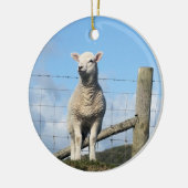 KUSTSCHAPEN KERAMISCH ORNAMENT (Links)