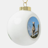 KUSTSCHAPEN KERAMISCHE BAL ORNAMENT (Links)