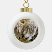 KUSTSCHAPEN KERAMISCHE BAL ORNAMENT (Voorkant)