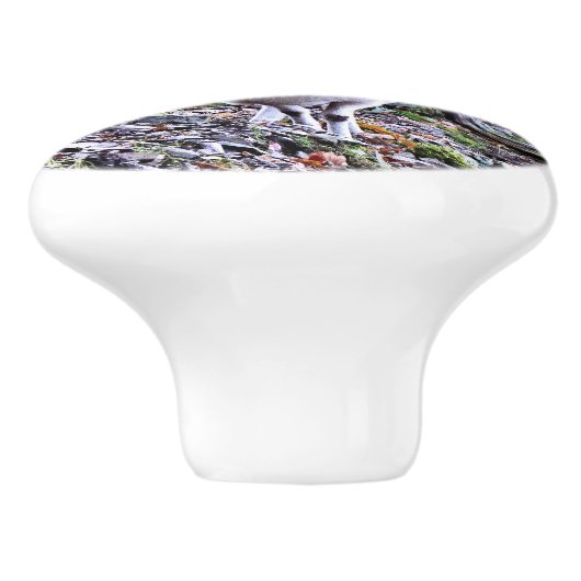 KUSTSCHAPEN KERAMISCHE KNOP (Zijkant)