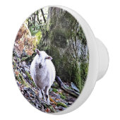 KUSTSCHAPEN KERAMISCHE KNOP (Rechts)