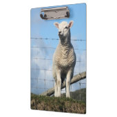 KUSTSCHAPEN KLEMBORD (Links)