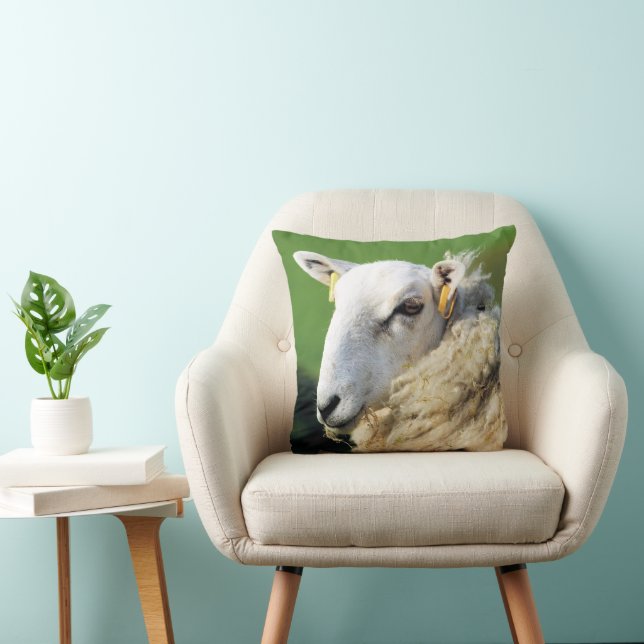 KUSTSCHAPEN KUSSEN (Stoel)