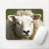 KUSTSCHAPEN MUISMAT (Met muis)