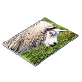 KUSTSCHAPEN NOTITIEBOEK (Linkerzijde)