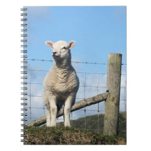 KUSTSCHAPEN NOTITIEBOEK